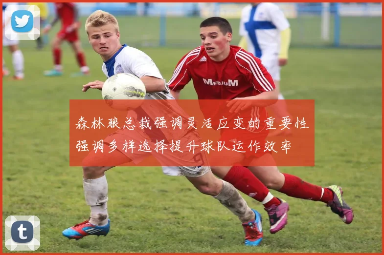 森林狼总裁强调灵活应变的重要性强调多样选择提升球队运作效率